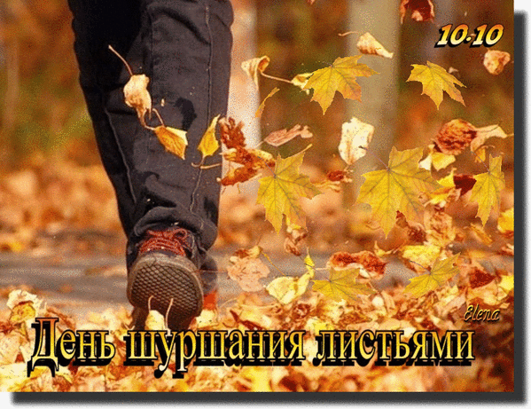 https://upforme.ru/uploads/0019/3c/8c/7178/690702.gif