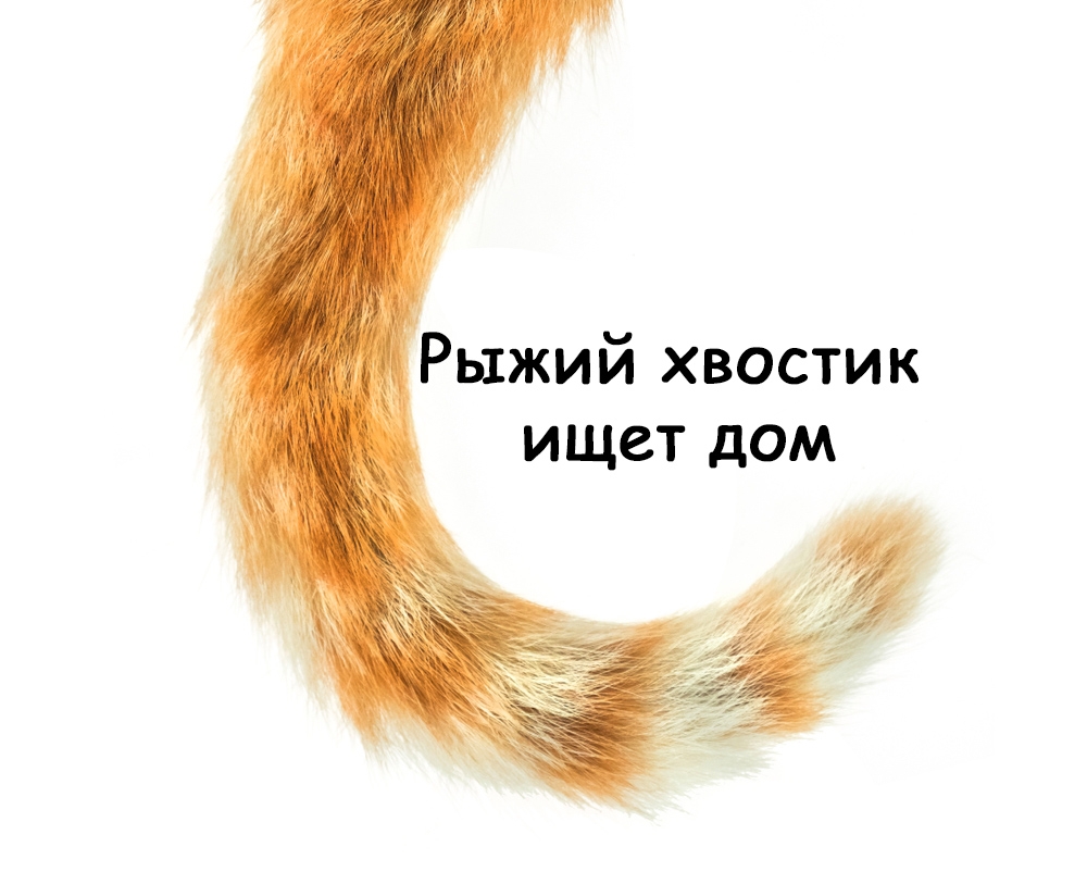 https://upforme.ru/uploads/0019/3c/8c/7178/728171.jpg