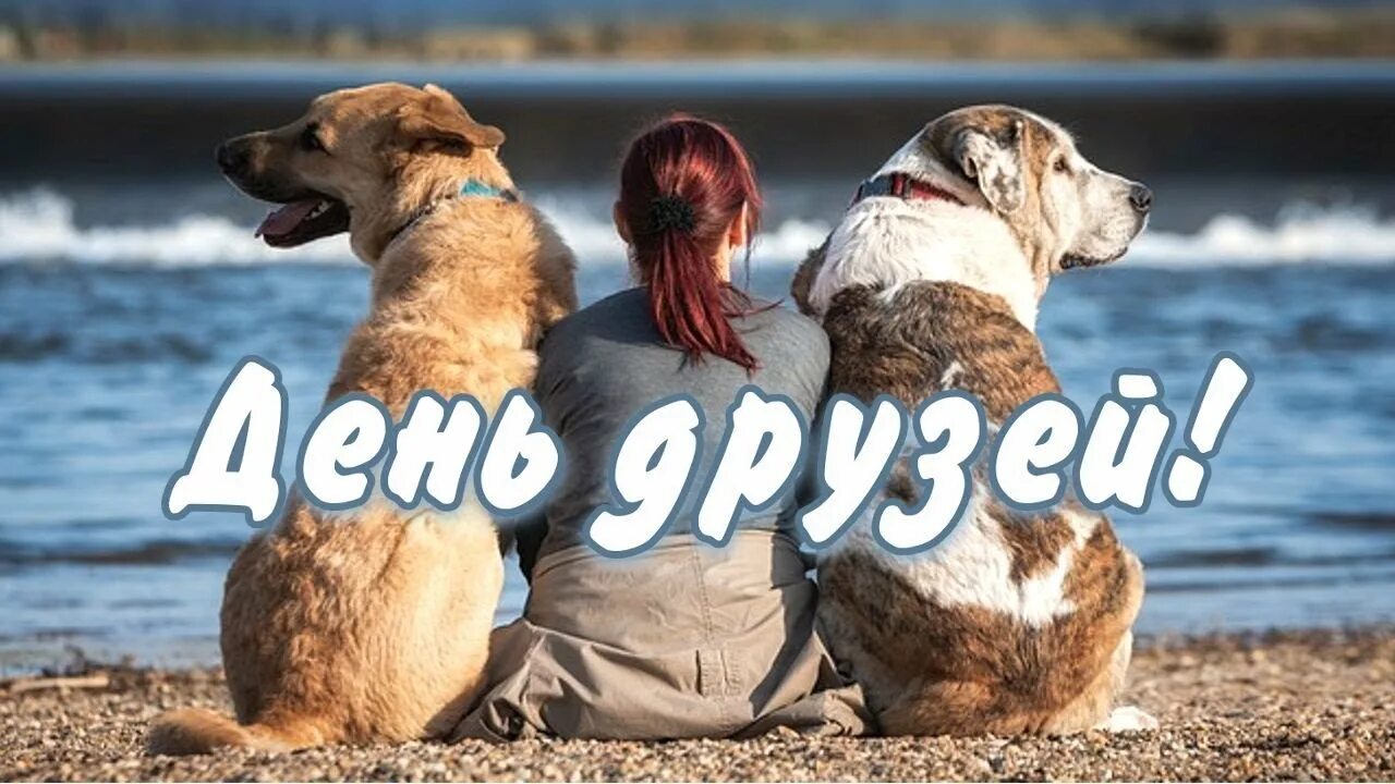 https://upforme.ru/uploads/0019/3c/8c/7178/752624.jpg