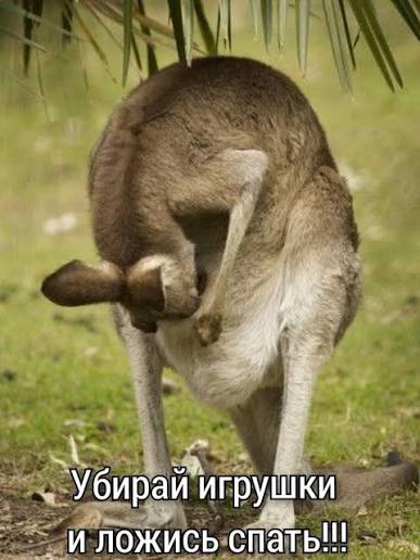 https://upforme.ru/uploads/0019/3c/8c/7178/82450.jpg