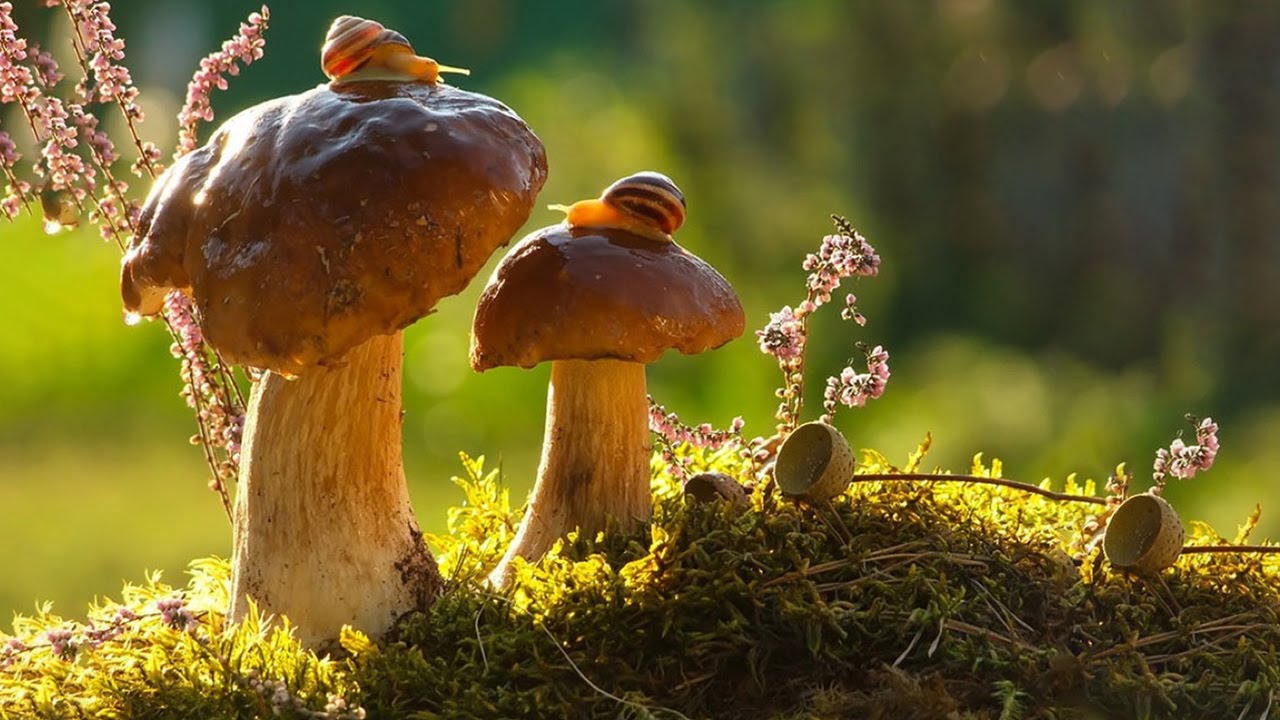 https://upforme.ru/uploads/0019/3c/8c/7178/921693.jpg