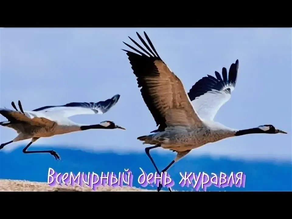 https://upforme.ru/uploads/0019/3c/8c/7198/144777.webp