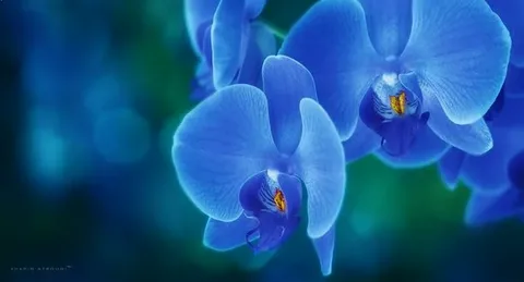 https://upforme.ru/uploads/0019/3c/8c/7198/274996.webp
