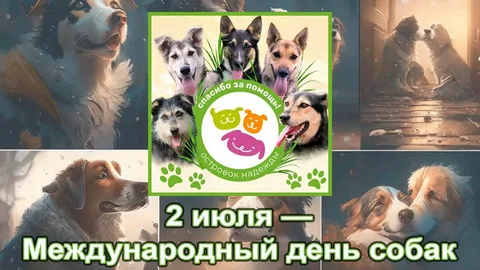 https://upforme.ru/uploads/0019/3c/8c/7198/676339.webp