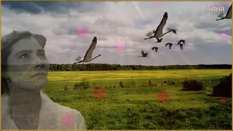 https://upforme.ru/uploads/0019/3c/8c/7198/73092.webp