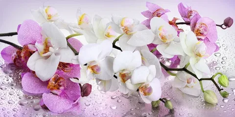 https://upforme.ru/uploads/0019/3c/8c/7198/84838.webp