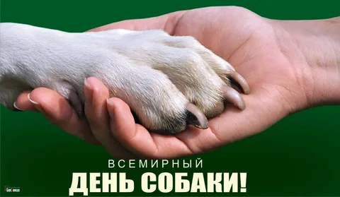 https://upforme.ru/uploads/0019/3c/8c/7198/935308.webp