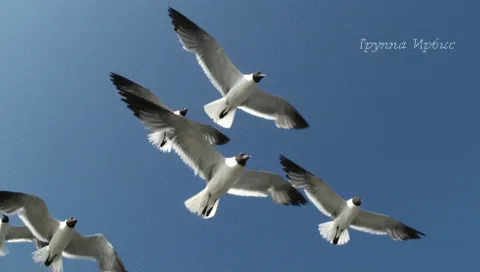 https://upforme.ru/uploads/0019/3c/8c/7198/988479.webp
