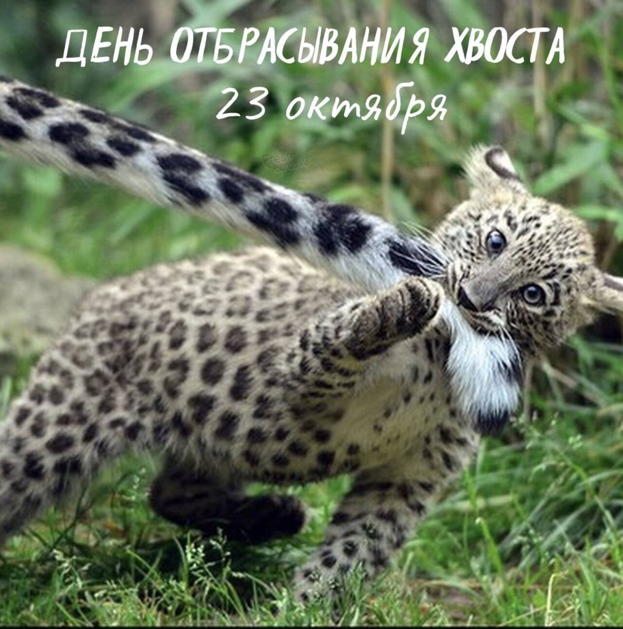 https://upforme.ru/uploads/0019/3c/8c/7213/369496.jpg