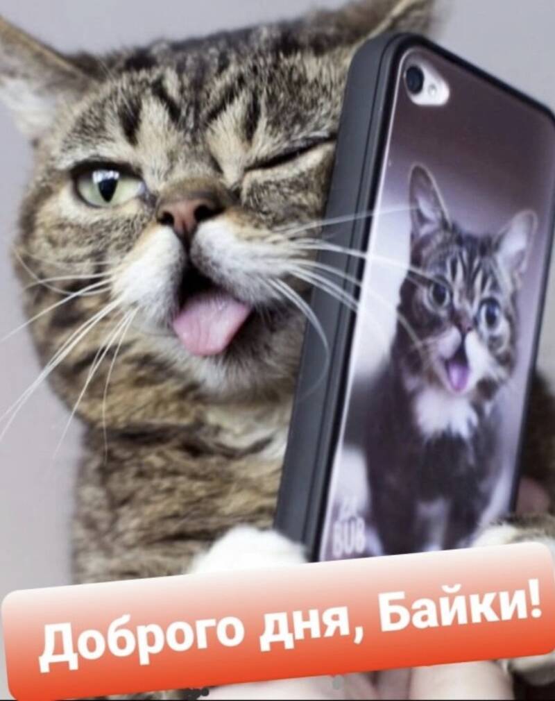 https://upforme.ru/uploads/0019/3c/8c/7213/384601.jpg