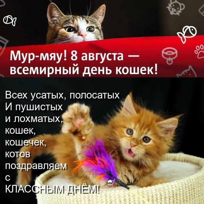 https://upforme.ru/uploads/0019/3c/8c/7213/445274.jpg