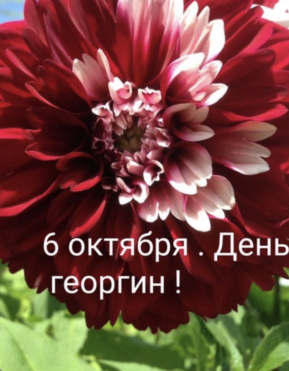 https://upforme.ru/uploads/0019/3c/8c/7213/494089.jpg