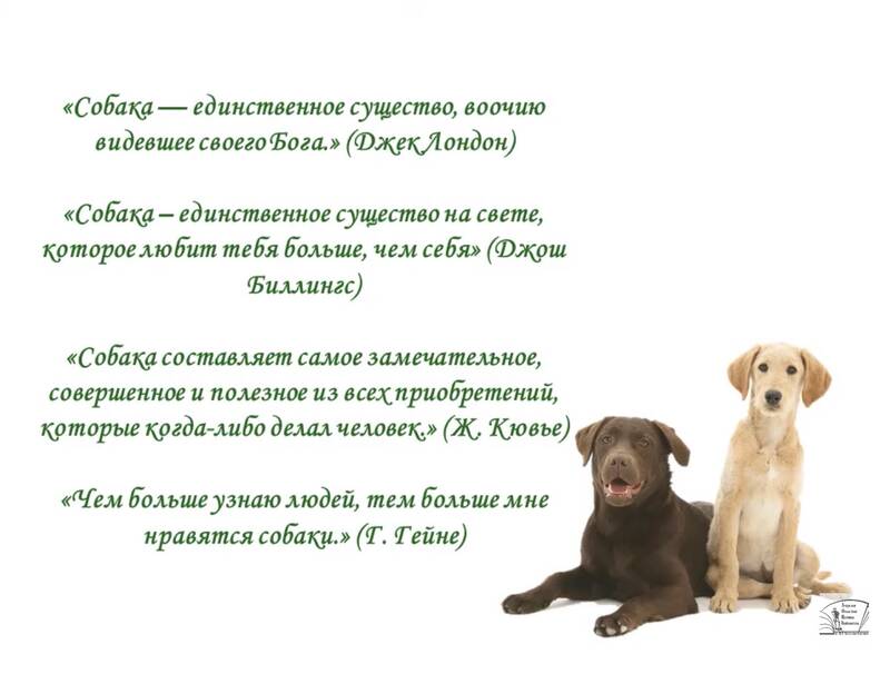 https://upforme.ru/uploads/0019/3c/8c/7213/496084.jpg