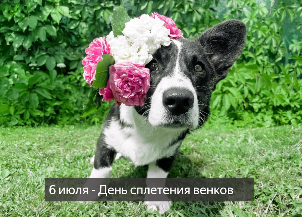https://upforme.ru/uploads/0019/3c/8c/7213/570630.png