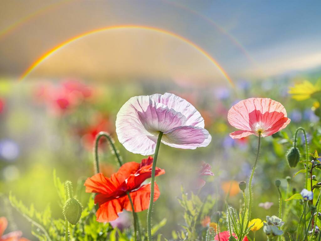 https://upforme.ru/uploads/0019/3c/8c/7213/621583.jpg