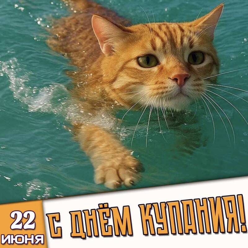 https://upforme.ru/uploads/0019/3c/8c/7213/632792.jpg