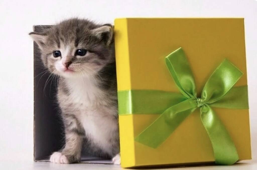 https://upforme.ru/uploads/0019/3c/8c/7213/673295.jpg