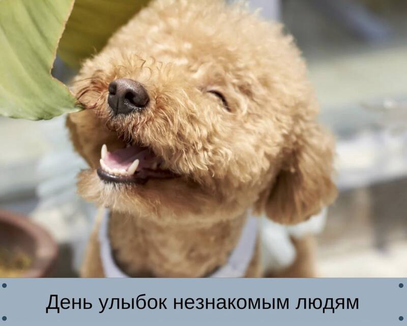 https://upforme.ru/uploads/0019/3c/8c/7213/673677.jpg
