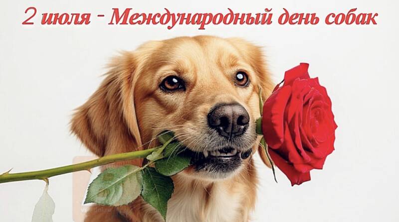 https://upforme.ru/uploads/0019/3c/8c/7213/760406.jpg