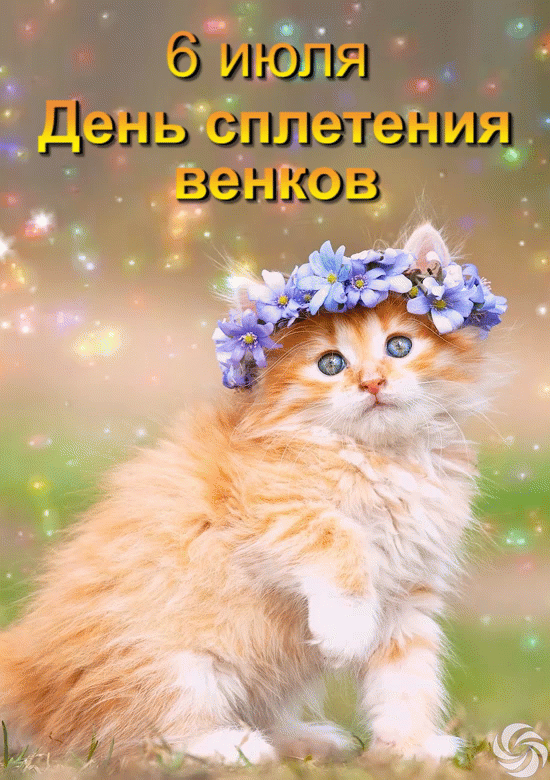 https://upforme.ru/uploads/0019/3c/8c/7213/782020.gif