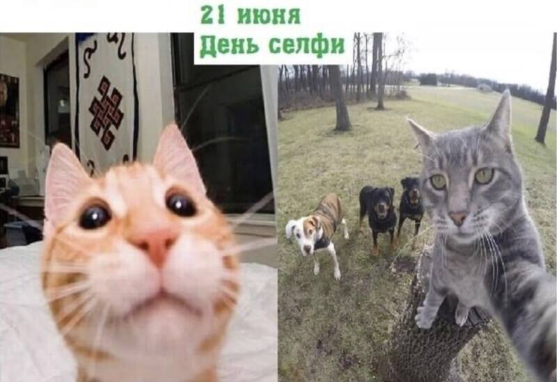 https://upforme.ru/uploads/0019/3c/8c/7213/86521.jpg