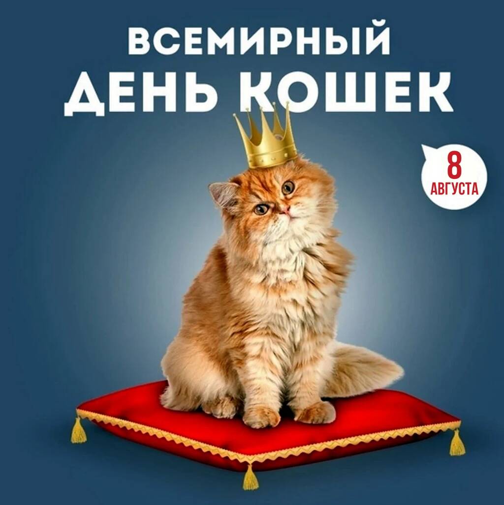 https://upforme.ru/uploads/0019/3c/8c/7213/902033.jpg