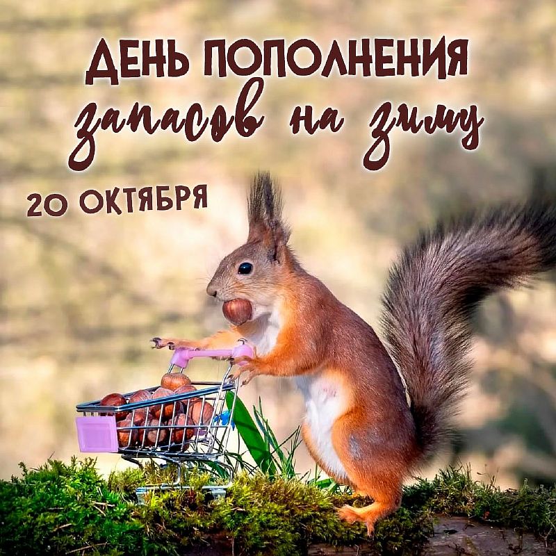 https://upforme.ru/uploads/0019/3c/8c/7213/953081.jpg