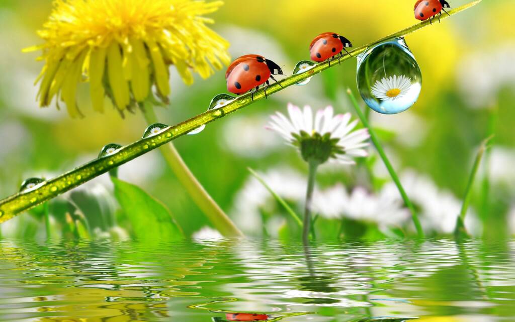 https://upforme.ru/uploads/0019/3c/8c/7213/978999.jpg