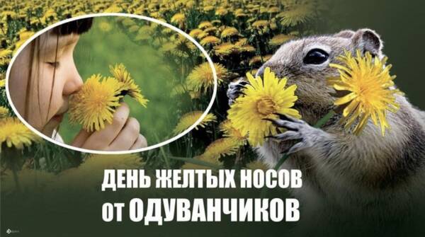 https://upforme.ru/uploads/0019/3c/8c/7213/t653599.jpg