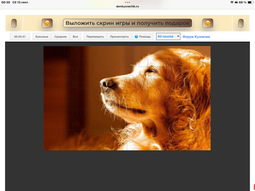 https://upforme.ru/uploads/0019/3c/8c/7213/t916198.png