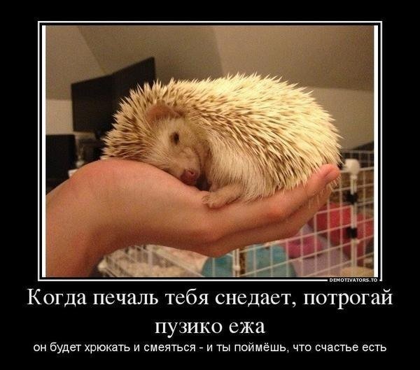 https://upforme.ru/uploads/0019/3c/8c/7215/166060.jpg