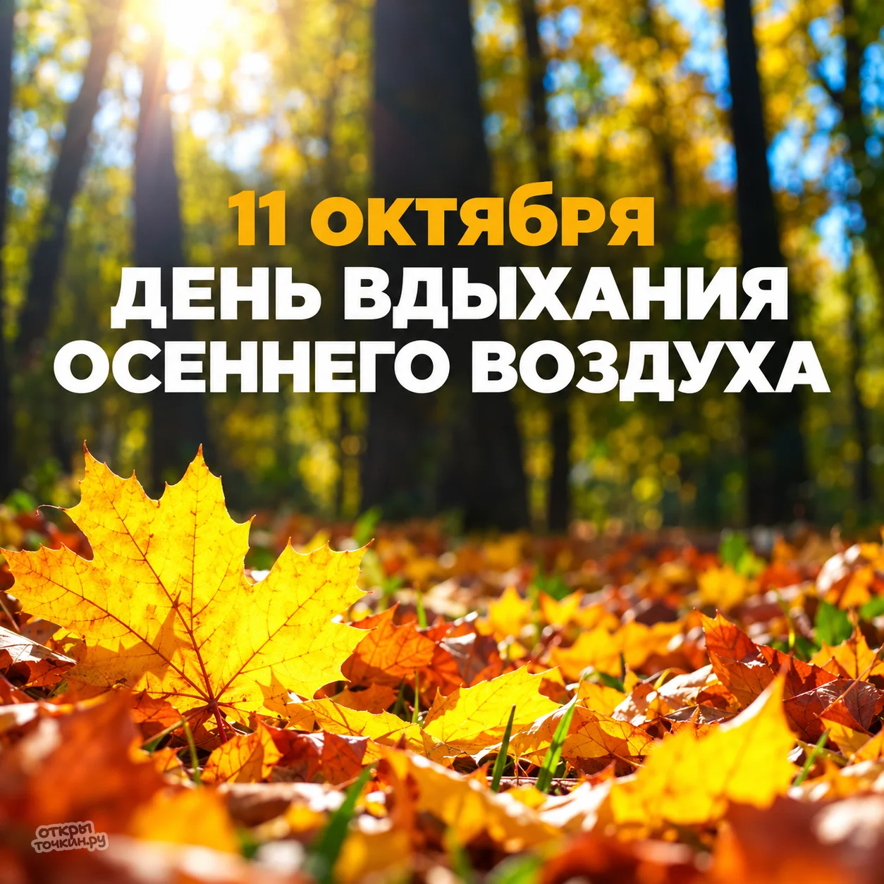 https://upforme.ru/uploads/0019/3c/8c/7215/182392.webp