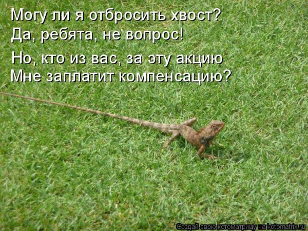 https://upforme.ru/uploads/0019/3c/8c/7215/295213.jpg
