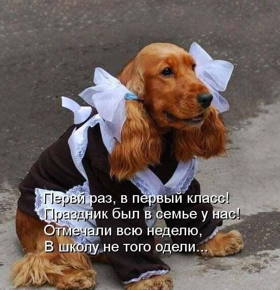 https://upforme.ru/uploads/0019/3c/8c/7217/432714.jpg