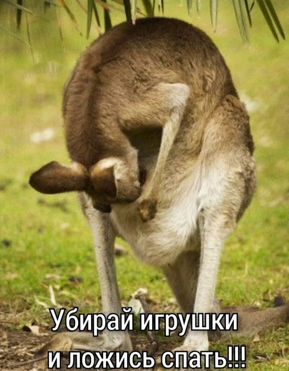 https://upforme.ru/uploads/0019/3c/8c/7217/59954.jpg