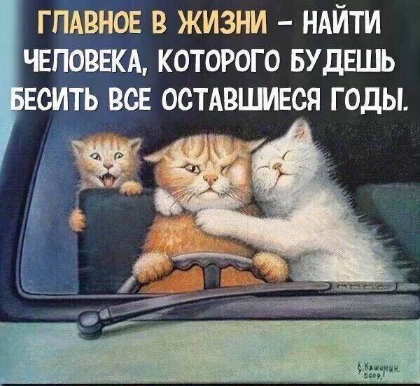 https://upforme.ru/uploads/0019/3c/8c/7217/641152.jpg