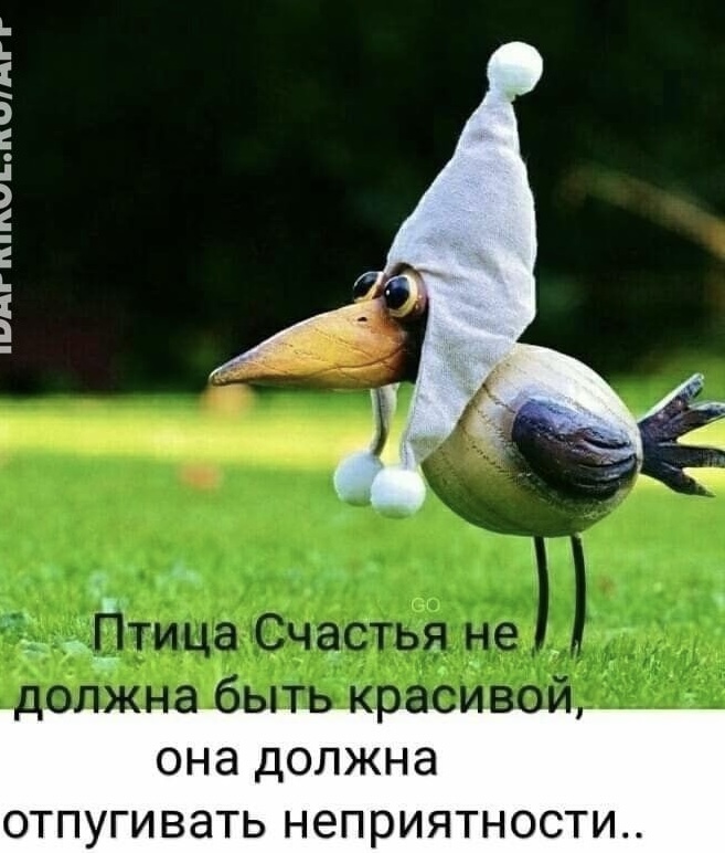 https://upforme.ru/uploads/0019/3c/8c/7217/682315.jpg