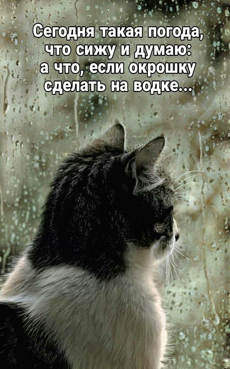 https://upforme.ru/uploads/0019/3c/8c/7217/713630.jpg