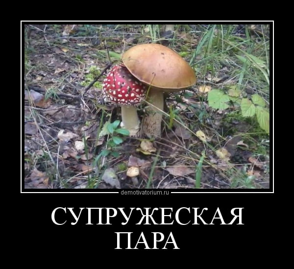 https://upforme.ru/uploads/0019/3c/8c/7217/798336.png