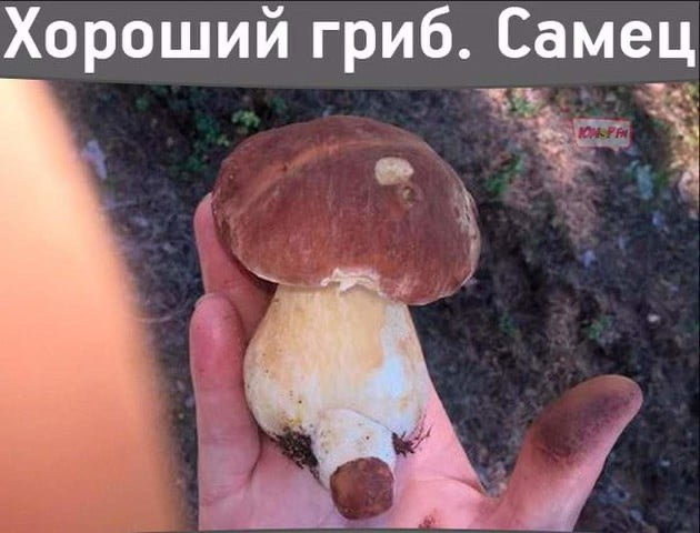 https://upforme.ru/uploads/0019/3c/8c/7217/817760.png