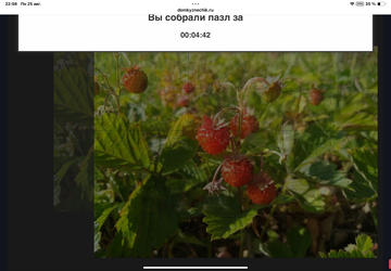 https://upforme.ru/uploads/0019/3c/8c/7217/t276853.png