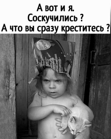 https://upforme.ru/uploads/0019/3c/8c/7217/t331633.png