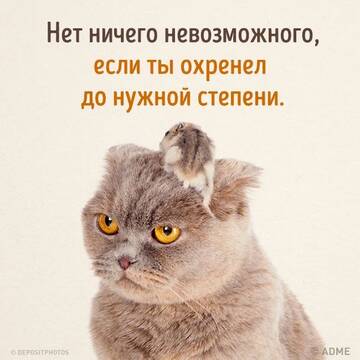 https://upforme.ru/uploads/0019/3c/8c/7217/t33913.jpg