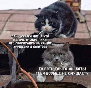 https://upforme.ru/uploads/0019/3c/8c/7217/t406656.jpg