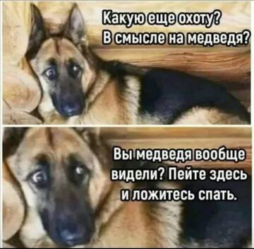 https://upforme.ru/uploads/0019/3c/8c/7217/t505757.jpg