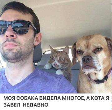 https://upforme.ru/uploads/0019/3c/8c/7217/t602842.jpg