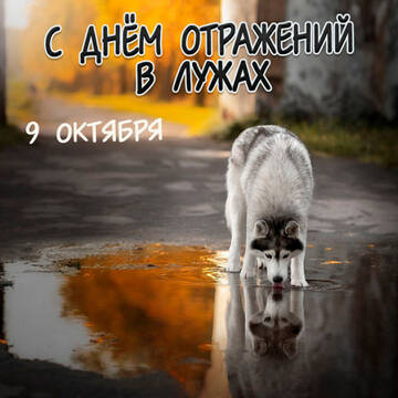 https://upforme.ru/uploads/0019/3c/8c/7239/t160331.jpg