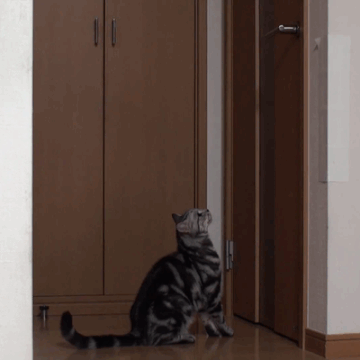 https://upforme.ru/uploads/0019/3c/8c/7239/t849038.gif