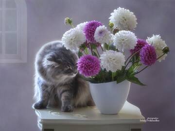 https://upforme.ru/uploads/0019/3c/8c/7239/t890498.jpg