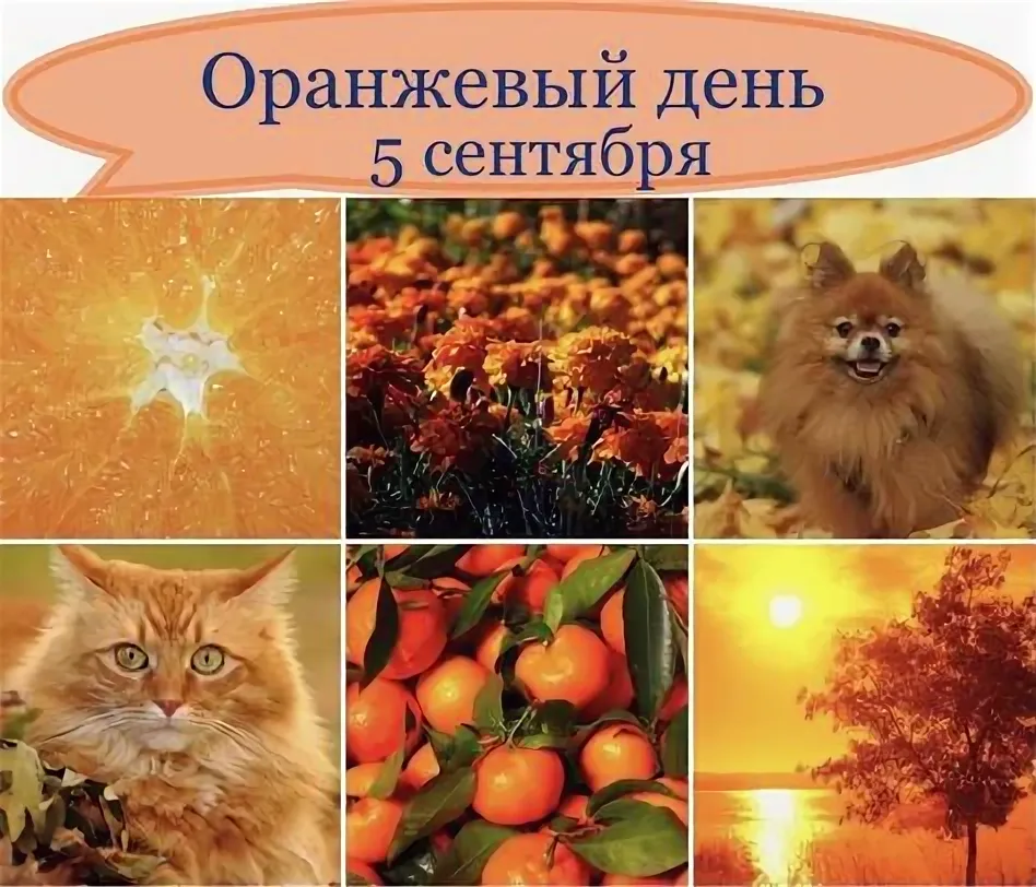 https://upforme.ru/uploads/0019/3c/8c/78/168305.webp